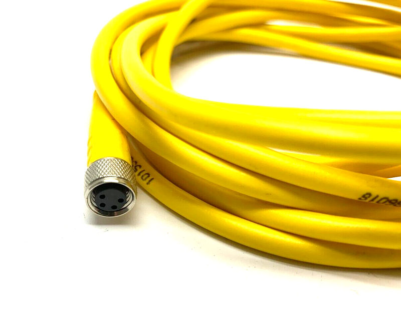 Turck PKG 4M-3 Picofast Single Ended Cordset Female 4 Pin U2503-21 - Maverick Industrial Sales