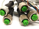 Murr Elektronik 7000-12181-2130500 Cable M12 5-Pin Female CUT TO 2' LOT OF 5 - Maverick Industrial Sales