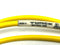 Turck PKG 4M-6 Cordset 8ft Length U0058-11 - Maverick Industrial Sales