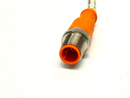 IFM IER203 Inductive Full Metal Sensor IEB2002BARKG/AM/SC/0,3M/US/2LE - Maverick Industrial Sales