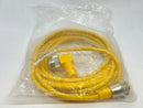 Turck WSM RKM 40-4M Minifast Cordset M/F 7/8 UN Connector 4-Pin 4m U99-17019 - Maverick Industrial Sales