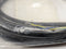 Turck WKC 8.6T-6 EuroFast Cable Cordset U5306-17 - Maverick Industrial Sales