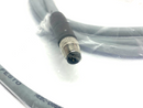 Festo NEBC-D8G4-ES-2-N-S-D8G4-ET Double Ended Connecting Cable 8065127 - Maverick Industrial Sales