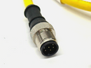 Banner CSB-M1288M1281 M12 QD Splitter Cable 8-Pin 8ft Trunk 1ft Branch 73253 - Maverick Industrial Sales