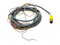 Turck RKC 8T-4 Eurofast Cordset M12 Female 8-Pin - Flying Leads 80" U5311-64 - Maverick Industrial Sales