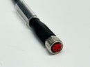 Beckhoff ZK2020-3132-0005 Power Cable PUR M/F M8 4-Pin 0.5m 017945 - Maverick Industrial Sales