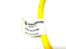Lumberg RSRK 50-877/8M MINI Double-Ended Cable Cordset Straight Male to Female - Maverick Industrial Sales