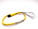 Allen Bradley 889D-M4AC-2 DC Micro Cable Male Straight 4PIN, 12" Lead - Maverick Industrial Sales