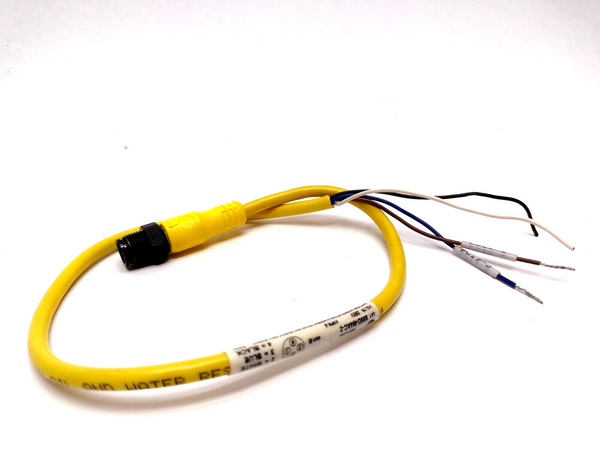 Allen Bradley 889D-M4AC-2 DC Micro Cable Male Straight 4PIN, 12" Lead - Maverick Industrial Sales