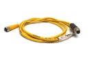 Turck PKG 4M-6 PicoFast Cable Cordset U0058-11 MINIMUM 41" INCHES - Maverick Industrial Sales