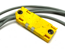 Turck BC10-QF5,5-AP6X2/S250 Capacitive Sensor 2620115 - Maverick Industrial Sales