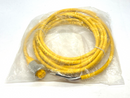 Turck RKM 40-4M Minifast Cordset Female 7/8 UN Connector 4-Pin 4m U2045 - Maverick Industrial Sales