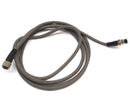 Keyence Gray VW-1SC E66085-H 6' M12 Extension Cable 300V AWM l/ll 800C - Maverick Industrial Sales