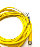 Turck PKG 4M-3 Picofast Single Ended Cordset Female 4 Pin U2503-21 - Maverick Industrial Sales