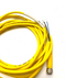 Turck PKG 4M-3 Picofast Single Ended Cordset Female 4 Pin U2503-21 - Maverick Industrial Sales