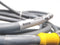 Turck RS 4.5T-10 Euro Fast Cordset U2186-20 - Maverick Industrial Sales