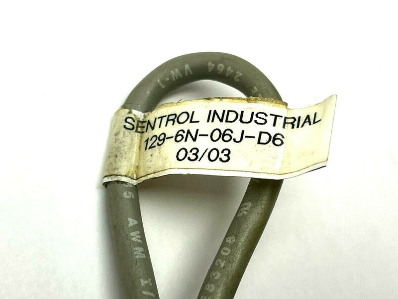 Sentrol 129-6N-06J-D6 Non-Contact Interlock Position Switch 4-Pin M12 - Maverick Industrial Sales