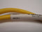Turck PKG 3Z-5 Pico Fast Cable U0066-5 - Maverick Industrial Sales