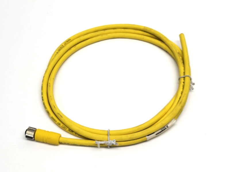 Lumberg Automation RKT-4-637/2M Female Single Ended Cordset 600002366 - Maverick Industrial Sales