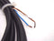 Pepperl+Fuchs V1-G-BK5M-PVC-U Cordset 4-Pin M12 Female - Maverick Industrial Sales