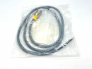 Turck RSC 8T-2 Eurofast Cordset M12 Male 2M Length U2143-66 - Maverick Industrial Sales