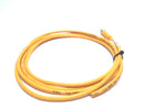 Turck PKG 4M-10 Pico Fast Cordset U99-10780 Approx 6' Foot Long - Maverick Industrial Sales