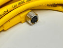 Turck PKW 3M-10 Pico Fast Actuator Sensor Cordset 10m U0074-10 - Maverick Industrial Sales