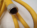 Turck PKG 3M-10 Picofast Female Connector U2515-22 - Maverick Industrial Sales