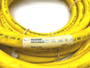 Turck CKM 64-078-10 Powerfast Cordset U2-04290 - Maverick Industrial Sales