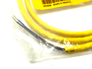 Turck PSG 3M-1 Cordset 3-Conductor 1m Length - Maverick Industrial Sales