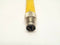 Turck BIM-UNR-2AP6X-0.2M-PSG 4M Inductive Magnetic Cylinder Sensor S4685842-004 - Maverick Industrial Sales