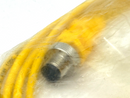 Turck VBRS 4.4-2PKG 3M-1/1 Daisy Chain Cordset M12 - 2x M8 3m Length U0117-45 - Maverick Industrial Sales