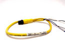 Allen Bradley 889D-M4AC-2 DC Micro Cable Male Straight 4PIN, 12" Lead - Maverick Industrial Sales