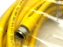 Turck RKC 4.5T-15/CS14274 Single-Ended Cordset 15m Length U2-22255 - Maverick Industrial Sales