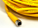 Turck PKG 3M-15 Picofast Cordset M8 Female 3-Pin 15m U2516-56 - Maverick Industrial Sales