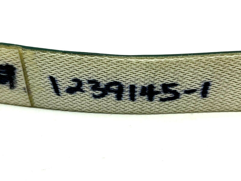 Knapp 1239145-1 Ribbed Belt Dark Green 24" OAL - Maverick Industrial Sales