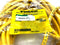 Turck RKC 4.5T-15/CS14274 Eurofast Single Ended Cable Cordset 15M 250V 4A - Maverick Industrial Sales