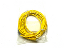 Turck PKG 4M-6 Single Ended Cordset 6m Length U0058-11 - Maverick Industrial Sales