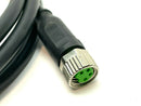 Automation Direct CD08-0G-020-A1 Connection Cable 5ft Length - Maverick Industrial Sales