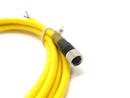 Lumberg Automation RKMV 3-593/2M Single Ended Cordset M8 Female To Leads 2m - Maverick Industrial Sales