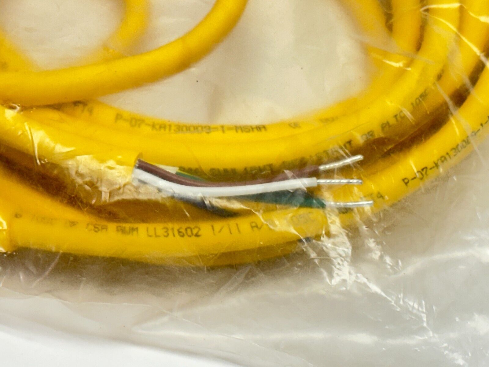 Turck RKM 50-5M Minifast Cordset F 7/8"-16 UN Connector 5m U2059 - Maverick Industrial Sales