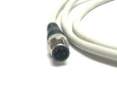 SMC LEC-CG2-1 Branch Cable 1.0M 4-Pin Straight SE Connector - Maverick Industrial Sales