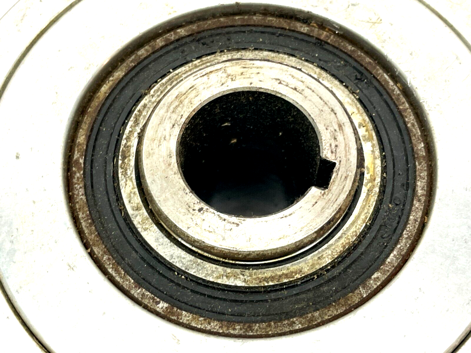 Nexen 910000 5H35P-1*1.125 Bore Piot Pneumatic Toothed Clutch - Maverick Industrial Sales