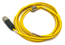 Turck RKM 40-4M Minifast Double-Ended Cordset U2045 - Maverick Industrial Sales