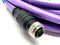 Turck RSSW RKSW 455-4M Cable for PROFIBUS-DP U0380 - Maverick Industrial Sales