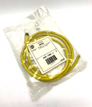 Allen Bradley 889D-F4WE-2 Ser. A Straight Female Micro Cordset 4 Pin 2M - Maverick Industrial Sales