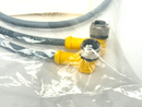 Turck VB2-RS 4.4T-0.3/2WK 4.4T-0.3/0.3/S651 Cordset U-15564 - Maverick Industrial Sales