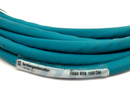 Lumberg Automation 0985 806 100/2M EtherNet/IP Male M12 4-Pin Cordset 900004056 - Maverick Industrial Sales