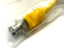 Turck VBRS 4.4-2PKG 3M-0.2/0.2 Cordset Splitter U0117-67 - Maverick Industrial Sales