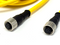 Banner CSB-M1288M1281 M12 QD Splitter Cable 8-Pin 8ft Trunk 1ft Branch 73253 - Maverick Industrial Sales